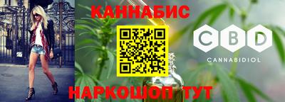 стафф Кингисепп