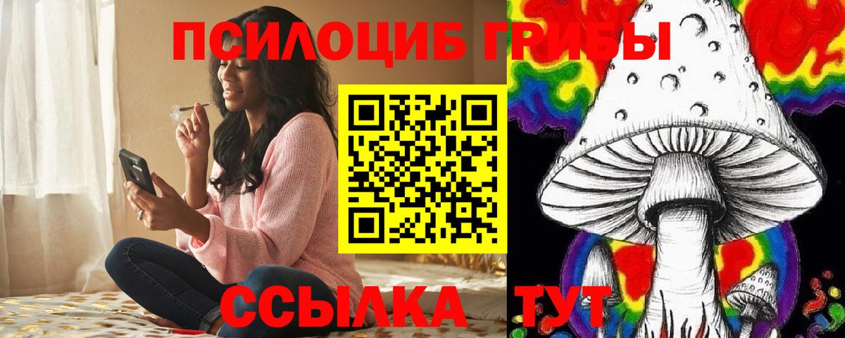 Галлюциногенные грибы Cubensis  Вход с VPN  Лабинск 